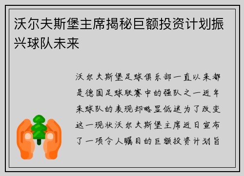 沃尔夫斯堡主席揭秘巨额投资计划振兴球队未来